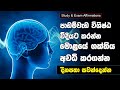 Powerful affirmations for studies and exams  21 days  positive affirmations sinhala