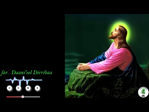 Ati Waan Hundumaa Gochuu Akka Dandeessu Nan Beeka Daani Eel Dirribaa Subscribe