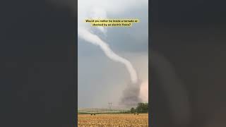 Would you rather be inside of a tornado or get SHOCKED by a fence? I had both happen to me in 2019