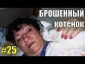 Брошенный котенок #25 Лапусик играет и выходит на снег)))