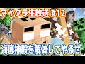 吉田のマイクラ生放送 #12「海底神殿をぶっこわーす!」 再開版