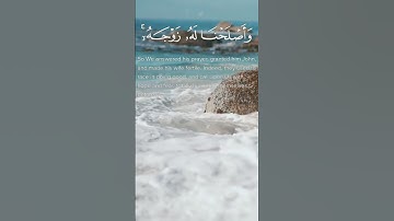 رب لا تذرني فردا و أنت خير الوارثين || سورة الأنبياء || القارئ: اسلام صبحي