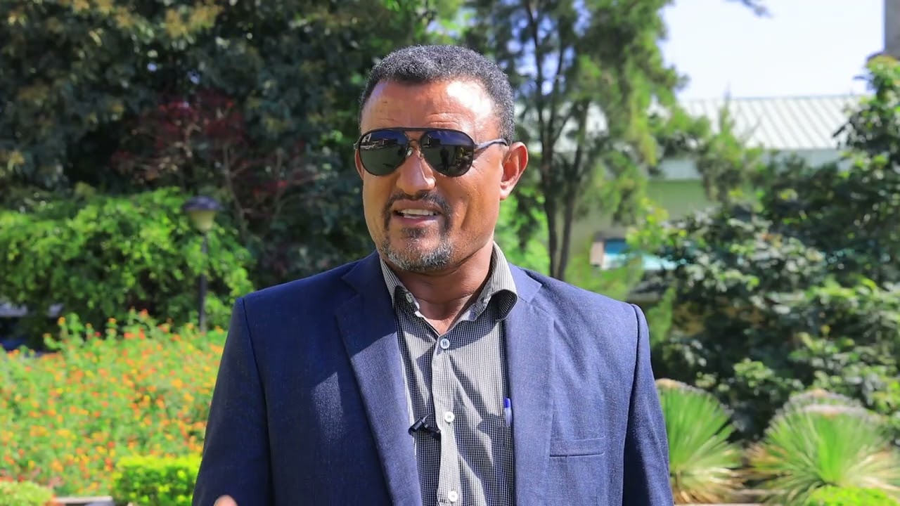  በጎንደር ከተማ የእንሰሳት ሀብት ልማት