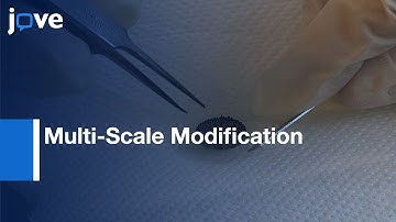 Multi-Scale Modification Of Metallic Implants-Pore Gradients, Polyelectrolytes l Protocol Preview
