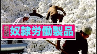 米下院 新疆での奴隷労働製品禁止法案通過| 収容所 |強制労働
