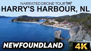 Harry's Harbour from Above: A 4K Newfoundland Odyssey! ✨