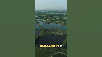 Transparency and Toxicity