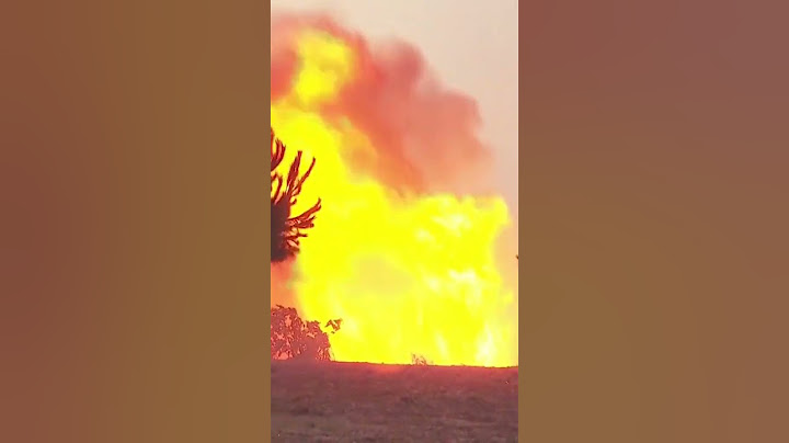 Wildfire rages near Portuguese holiday town