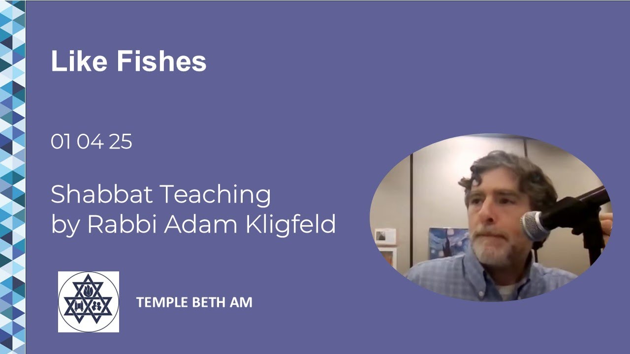 Shabbat Teaching:  "Like Fishes"