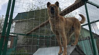 Первое 9 мая в жизни ТОСИ.