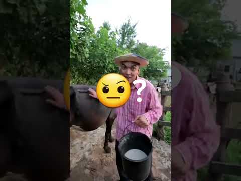 ytph de Alfredo