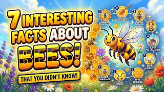 7 interesting facts about bees