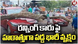 Uprooted Large Tree Fall On Running Car Suddenly At Srikakulam |  V6 News