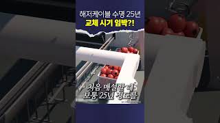 이과학 저과학 대표 영상 썸네일