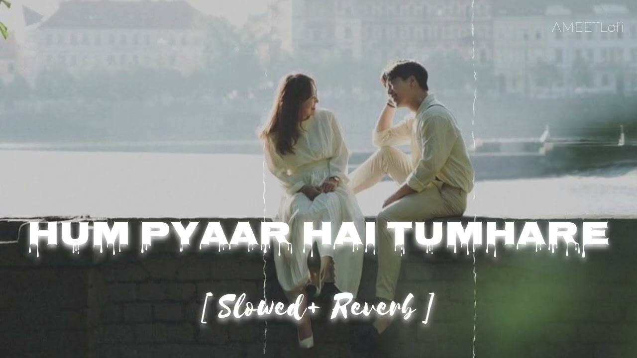 Hum Pyaar Hai Tumhare | Haan Maine Bhi Pyaar Kiya | Kumar Sanu, Alka Yagnik | Love Songs | Lofi