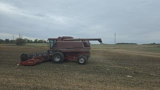 видео: Готовим Case IH 1680 к последним полям | Уборка сои 2025 — Часть 2 картинка: Готовим Case IH 1680 к последним полям | Уборка сои 2025 — Часть 2