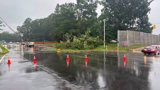 Combat medic veteran helps rescue man, child after tree falls on SUV | WSOC-TV