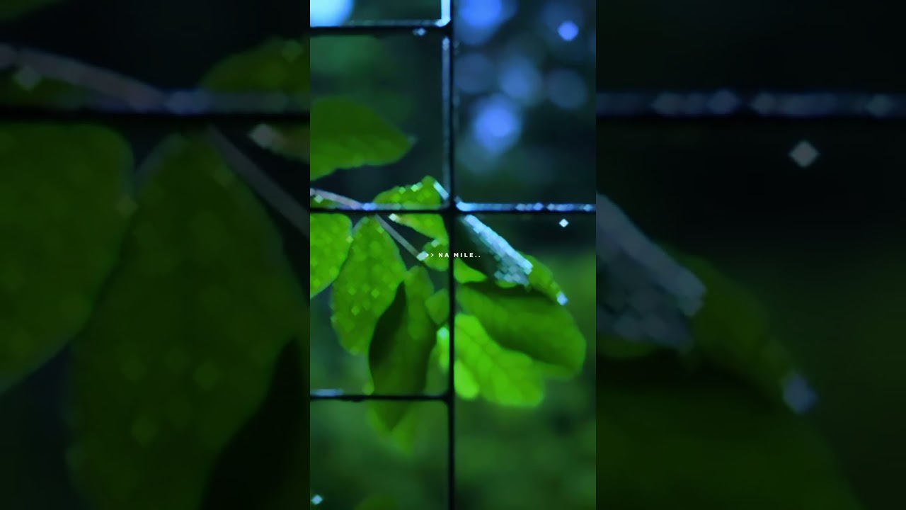 Ye Mausam Ki (Barish)Slow Reverb Song Barish/ Tanishk Bagchi/Half Girlfriend.Barish aesthetic status