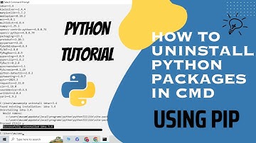 How to Uninstall Python packages from windows 10| | Uninstall  pip packages.