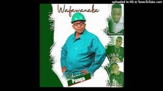 Mukoma Panga,Romeo Gasa,Chipoko Chasauro & Gidza Power -Wafawanaka (Official Audio) 2024