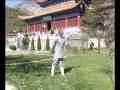 Shaolin Yi Jin Jing Muscle & Tendon Changing Classic