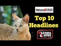 Top 10 headlines animals nature viral.