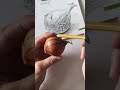 How to draw a simple onion