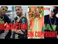 🎶 Sin Copyright para VIDEOS➡️ Descargar (REGGAETON)