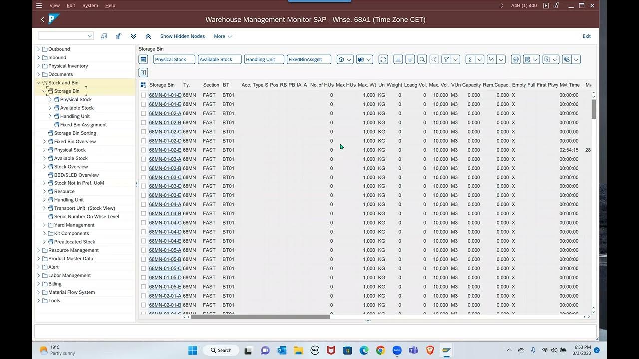 How to use EWM Warehouse Monitor selection fields effectively YouTube