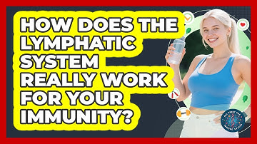 How Does The Lymphatic System Really Work For Your Immunity? - All About the Immune System