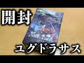 【ユグドラサス】開封【ボードゲーム】