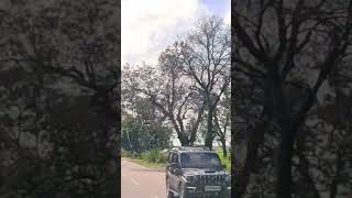 Waitu0026watch clouds tseries20ringtone  love