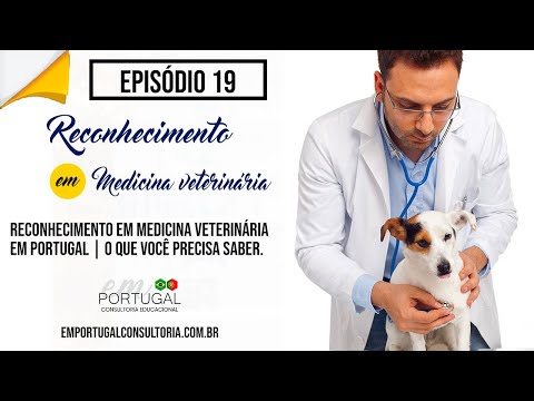 Vídeo: Desafios Da Profissão Veterinária Na Irlanda: 3. Certificação De Emergência E Abate De Vítimas