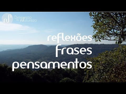 Vídeo: Citações Bonitas Que O Inspirarão A Entrar Na Natureza