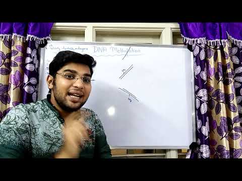 DNA METHYLATION AND