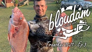 SPEARFISHING TRANSKEI - DAY 3 - FINALLY IN THE WATER