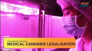Medical Cannabis Legalisation in Thailand by NewsOps 1,254 views 5 years ago 10 minutes, 55 seconds
