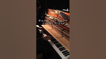 “Where the Grass Grows Hight” - my original composition 🎶 #piano #pianosolo #pianist #composer