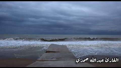 ولا تحسبن الله غافلًا | ترتيل عبدالله حمدي من سورة إبراهيم