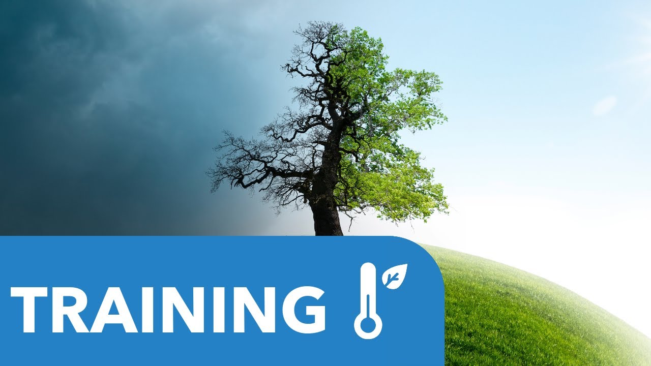 School on Economics and policy of trade and climate change 2023 at EUI - Participants