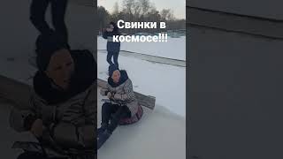 Свинки в космосе!!!