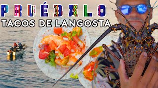 Fresh Caught Lobster Tacos in Mazatlán | Pruébalo with Rick Martinez