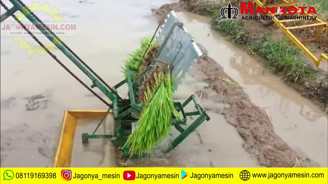 ALAT TANAM PADI | PADDY SEEDER | MAHKOTA MPS-300 - YouTube