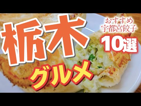 【栃木 グルメ】栃木といえば、宇都宮餃子!