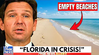 Florida’s Tourism Industry Is on the Verge of Total Collapse