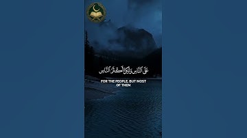 استمع لسورة غافر 📖 بصوت ياسر الدوسري 🎧 | قرآن كريم بدون حقوق 🕋
