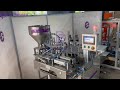 Automatic Spout Pouch Filling & Capping Machine for Ketchup, Sauces & Home Care Liquids
