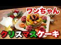 犬用クリスマスケーキを『野菜・果物・肉だけ』でドッグトレーナーが作ってみました！思いつきの割には結構良いかも！！