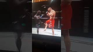 UFC 4 Brock Lesnar vs Jairzinho Rozenstruik