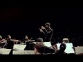 Tchaikovsky: Symphony no. 7 - II. Andante (Conductor Cam)